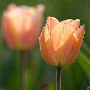 20110416 154637