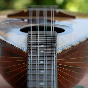 mandoline 02