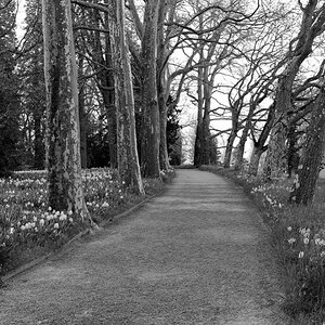 Mainau 001