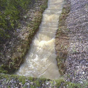Wasser