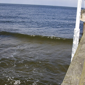 See