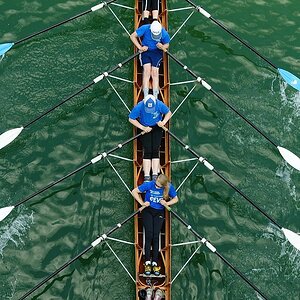 Frühregatta in Mannheim