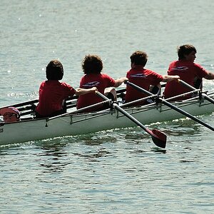 Frühregatta in Mannheim