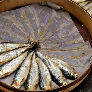 Fische Sineu
