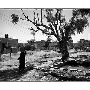 Yemen 72 print