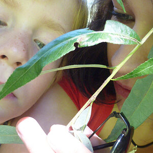 September 2010 / entdecken