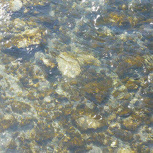 February 2011 / clear water