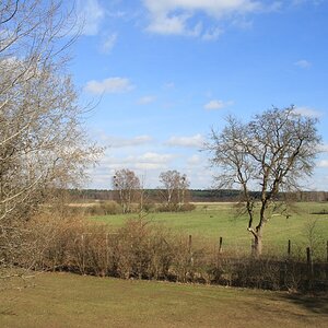 Compb 1Frühling