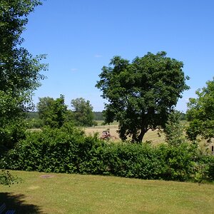 Compb 1Sommer