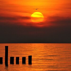 am Strand von Zingst - Sonnenuntergang Mai 2011
