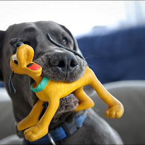 pluto_vs_pluto