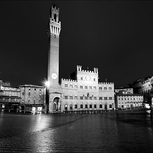 Campo Siena - Palazzo 05/2010 -