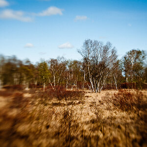 20110413 1TH 1661