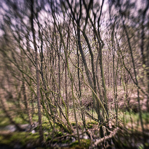 20110413 1TH 1814And8more