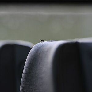 Schwarzfahrer im Regio
