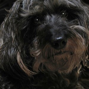 Jenny