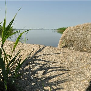comp abUsedom 083