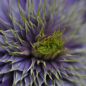 Garten  20110515 1012