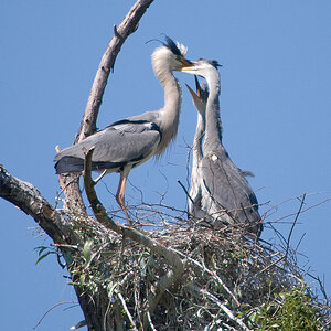 20110506 DSC 8163