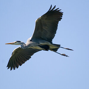 20110506 DSC 8225