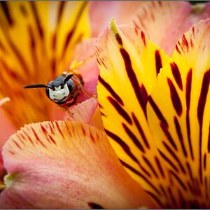 JO7 6375web