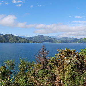 Neuseeland Picton - Nelson