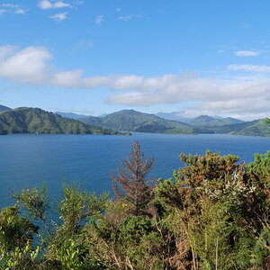 DSC 0740 1024