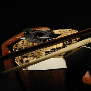 Erhu01