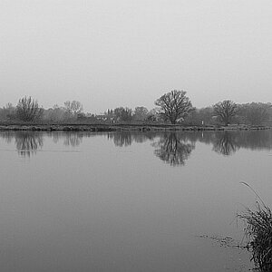 Grau