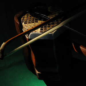 Erhu03