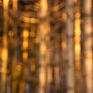 Panning: Zwischenschritt - absichtlich unscharf gestellt