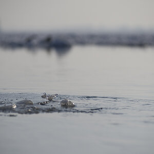 Elbe im Eis