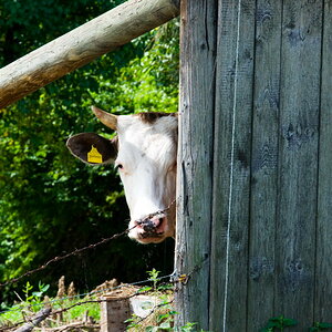 DSC 1571 schau mal