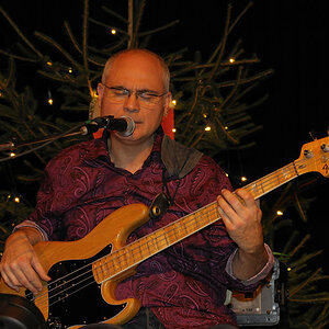 Bassist