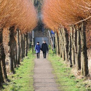 allee