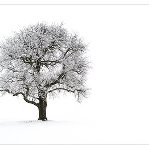 Winterzauber2