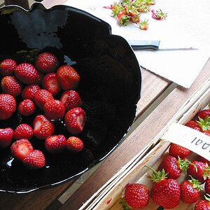 Erdbeeren 003 1