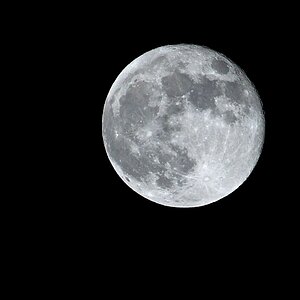 Mond