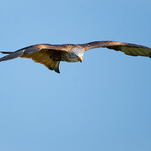 20110507 DSC 8372