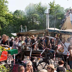 Merlin DSC3834