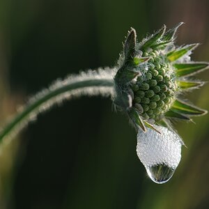 DSC 7399
