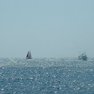 Bild 010