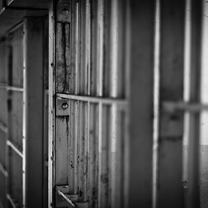 Alcatraz - Gitter 1