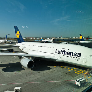 FFM - SFO - unser Luftbus