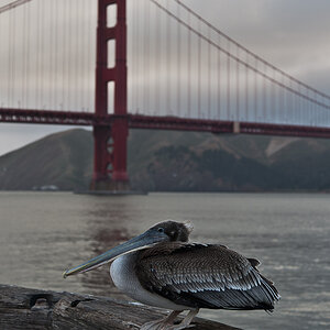 San Francisco