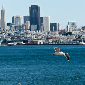 San Francisco - Alcatraz