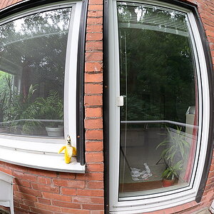 D3S 3236   1   16mm   original
