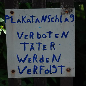 DSC 6288 Bildgröße ändern
