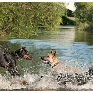 Wasserspiele