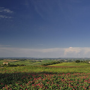 2011051318502841